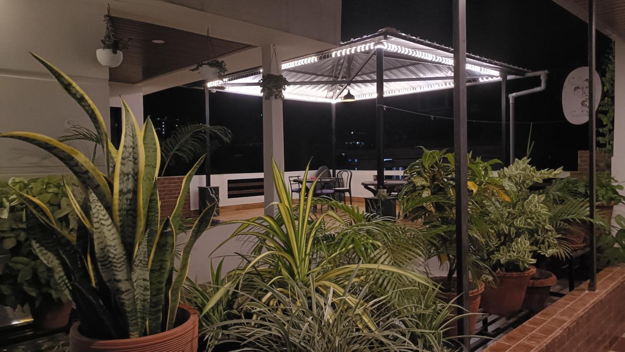 Areca * Guwahati